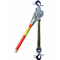 1 Ton Web Hoist